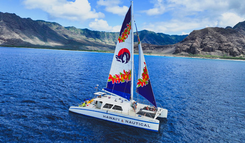 Dolphin Watch and Turtle Snorkel Sail Hawaii Nautical