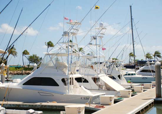 Sport Fishing