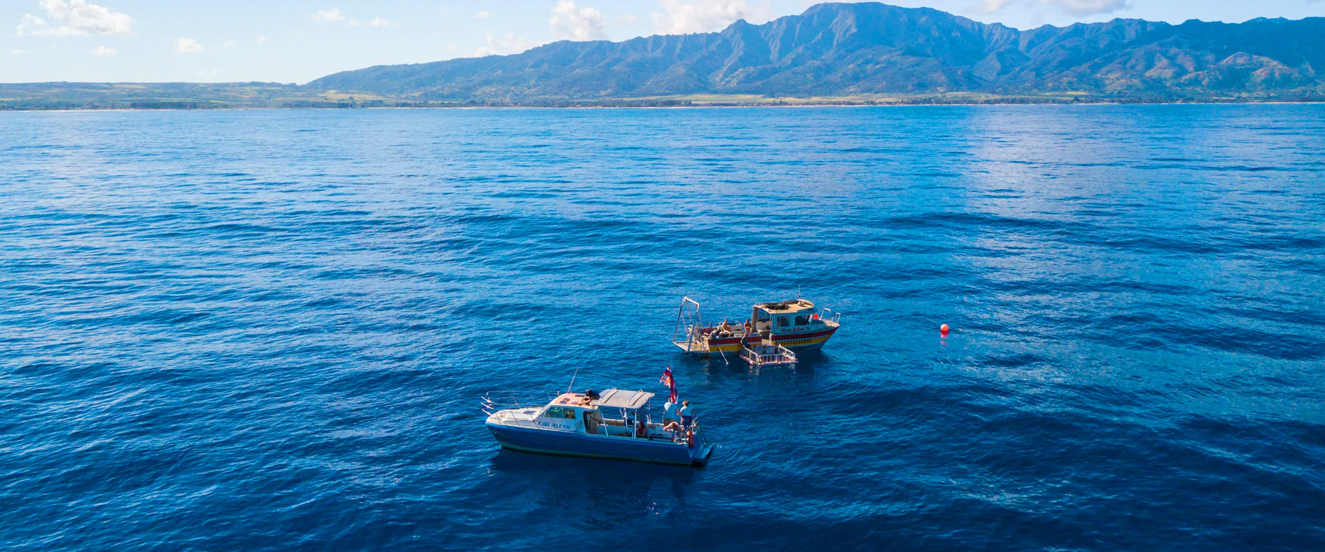 Open-ocean Hawaii shark encounter